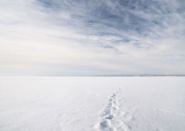 Ice Desert Winter Landscap