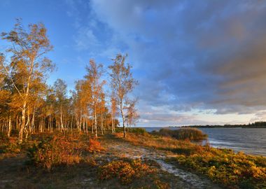 Autumn Landscape