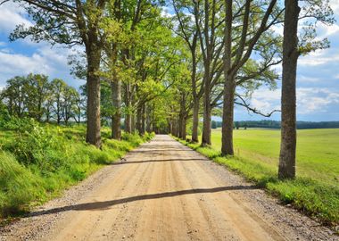 Old Road Through The Beaut