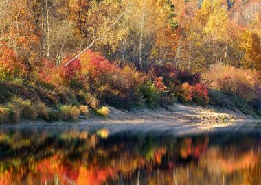 Autumn River Gauja In Sigu