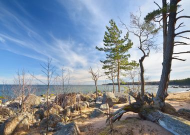 Rocks At The Coast Of Kasm