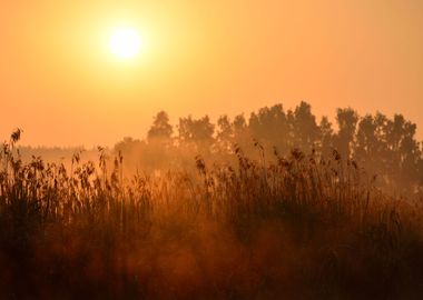 Sun And Morning Fog Above