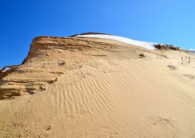 Desert Landscape General V