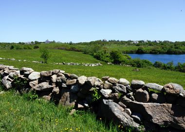 Block Island Countryside