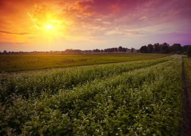 Sunset Over Countryside Wi