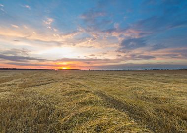 Stubble Field Landscape