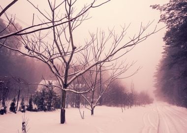 Rural Winter Snowy Landsca