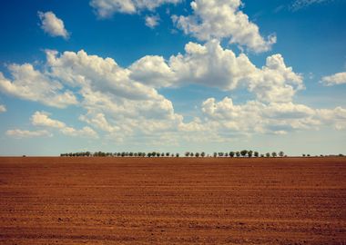 Arable Field With Cloudy S