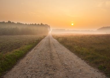 Sandy Rural Road In Landsc