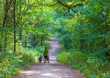 Mother With Stroller And B