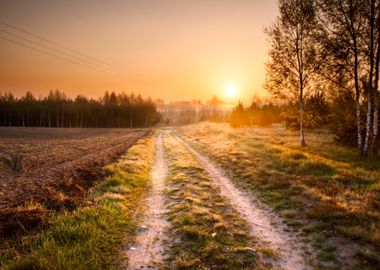 Sandy Rural Road In Landsc