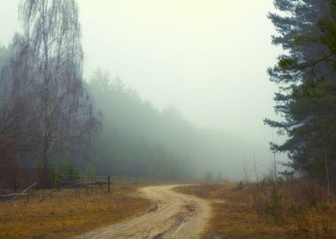 Rural Road In A Misty Morn