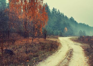 Autumn Rainy Rural Landsca