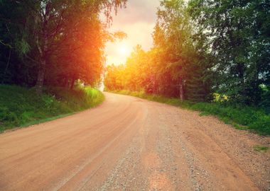 Dirt Road Through The Fore