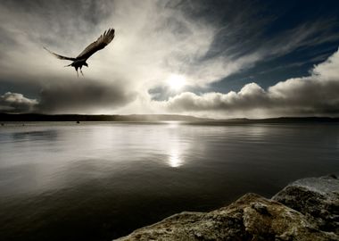 Moody Harbour