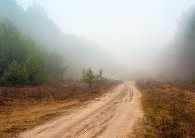 Rural Road In A Misty Morn