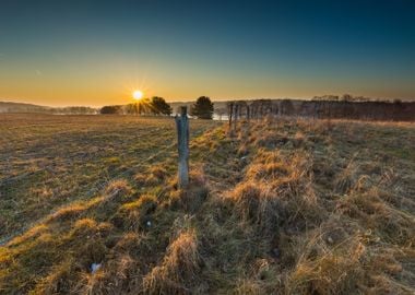 Early Spring Meadow With B