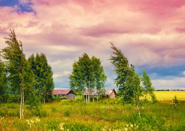 Countryside Landscape