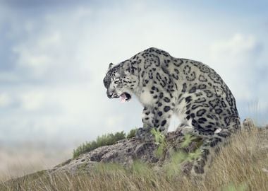 Snow leopard artwork