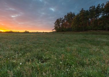 Cloudy Sunrise Over Meadow