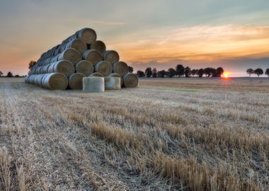 Stubble Field Landscape