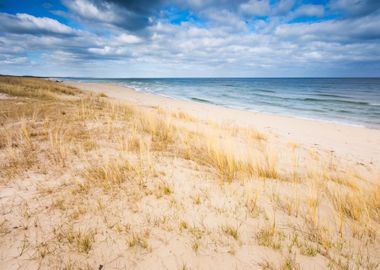 Sea Shore With Grass Beaut