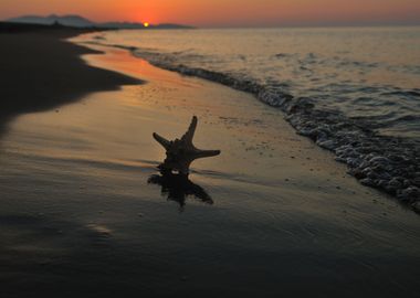 Summer Beach Sunset With S