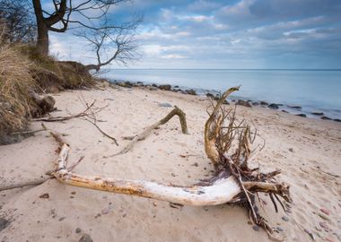 Rocky Sea Shore With Drift