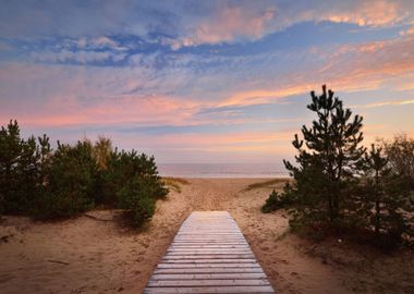 Baltic Sea Shore And A Roa