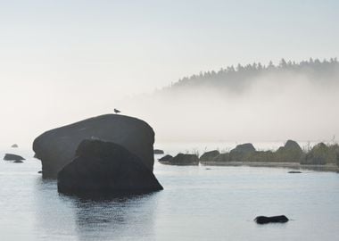 Rocks At The Coast Of Kasm