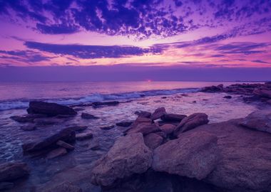 Wild Rocky Beach At Dawn