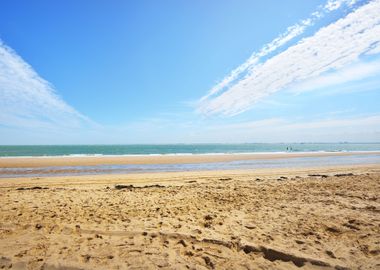 North Sea Shore In Vlissin