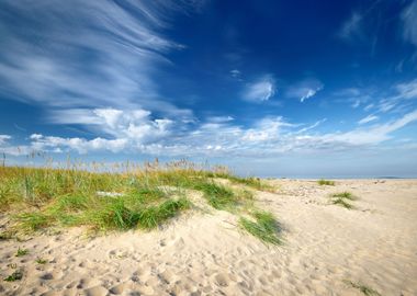 Baltic Sea Shore Sandy Bea