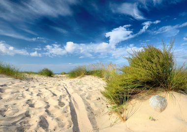 Baltic Sea Shore Sandy Bea