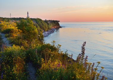 Cliffs At The Coast In Pal