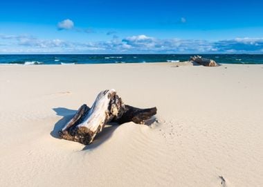 Beautiful Sandy Sea Shore