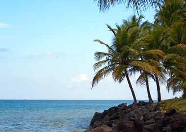 Luquillo Beach In Puerto R