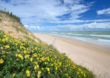 Baltic Sea Shore In Jurkal