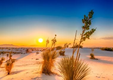 White Sands Sunset