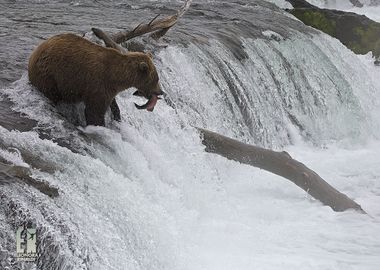 Alaskan Breakfast