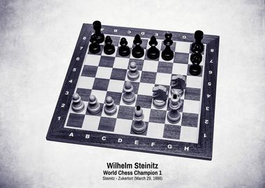 Steinitz Champion 1