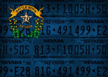 Nevada State Flag License