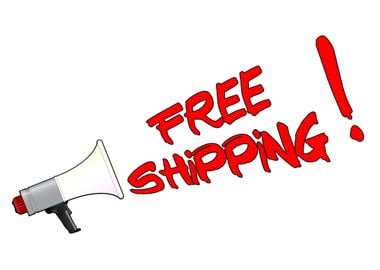 Free Shipping Megaphone