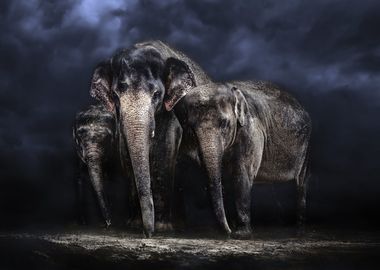 Elephants Artwork