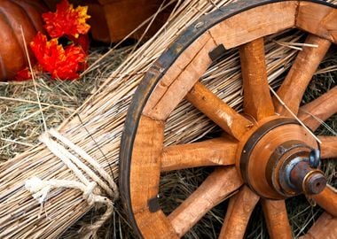 Cart Wheel Thanksgiving