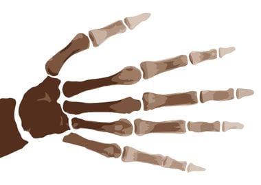 Isolated Boney Hand