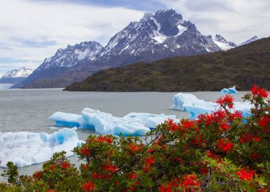 Grey Lake Patagonia