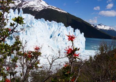 Moreno Glacier