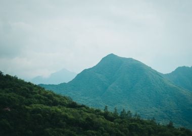 Jungle Mountains