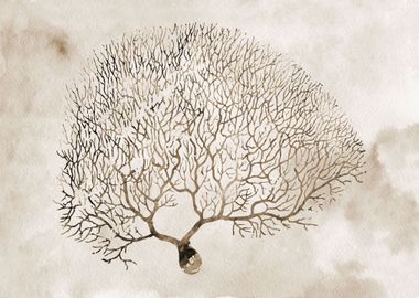 Purkinje Neuron